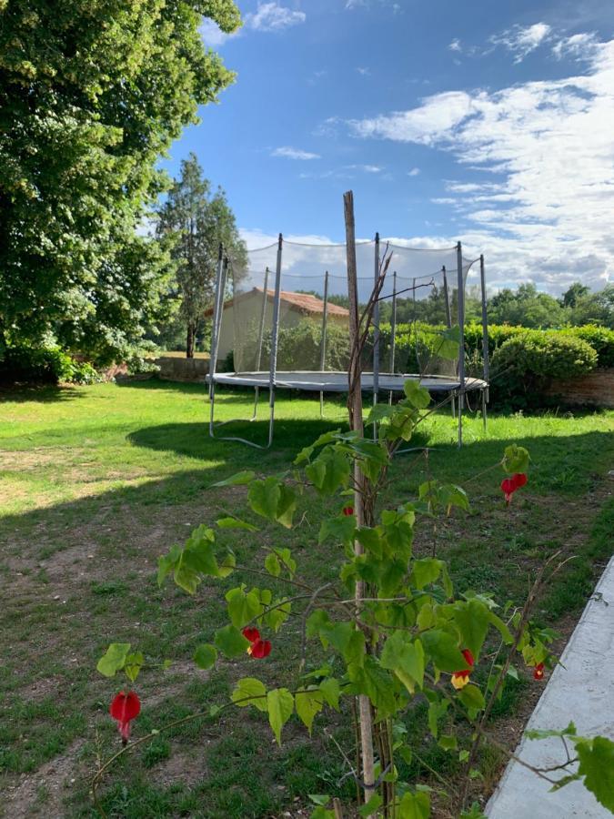 Chambre D'Hotes Et Table D'Hotes Domaine De La Terrasse Sas Et Gite Anda Montauban Lacourt-Saint-Pierre Dış mekan fotoğraf