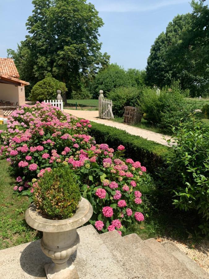 Chambre D'Hotes Et Table D'Hotes Domaine De La Terrasse Sas Et Gite Anda Montauban Lacourt-Saint-Pierre Dış mekan fotoğraf